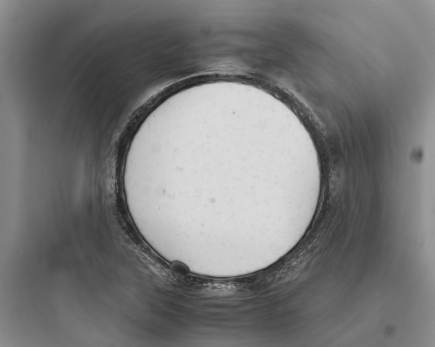 X0000097661315200803211910