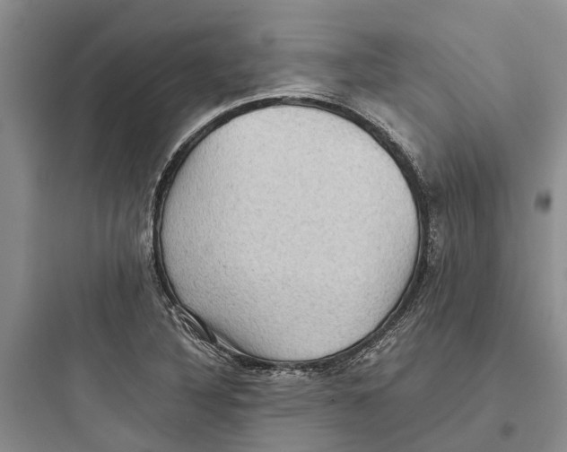 X0000097661316200803211910