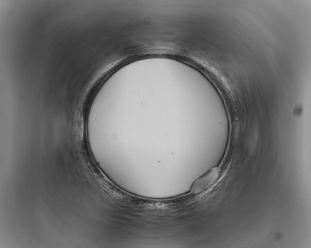 X0000097661317200803211910