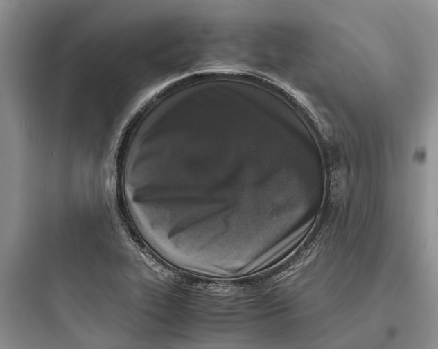 X0000097661319200803211910