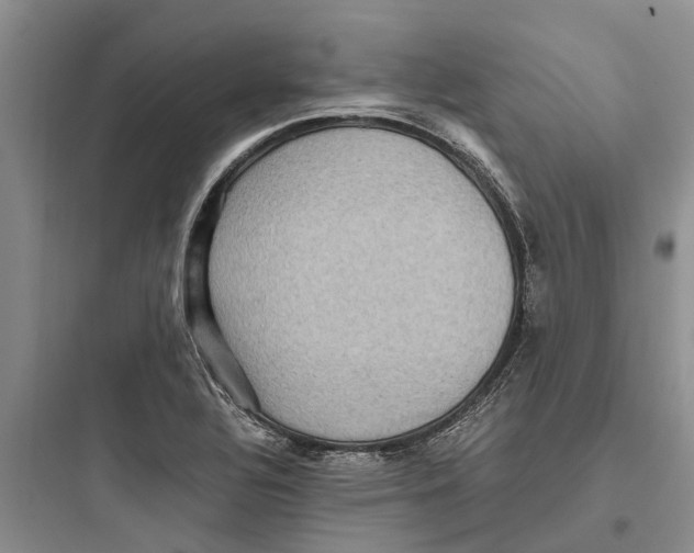 X0000097661320200803211910