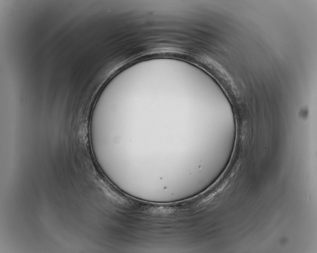 X0000097661321200803211910