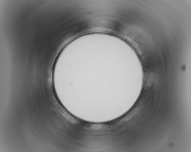 X0000097661322200803211910