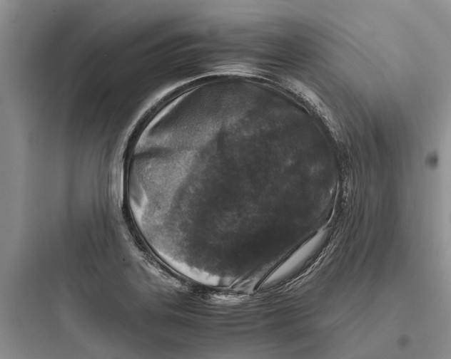 X0000097661323200803211910