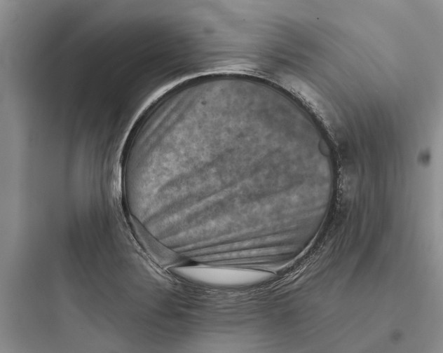 X0000097661324200803211910