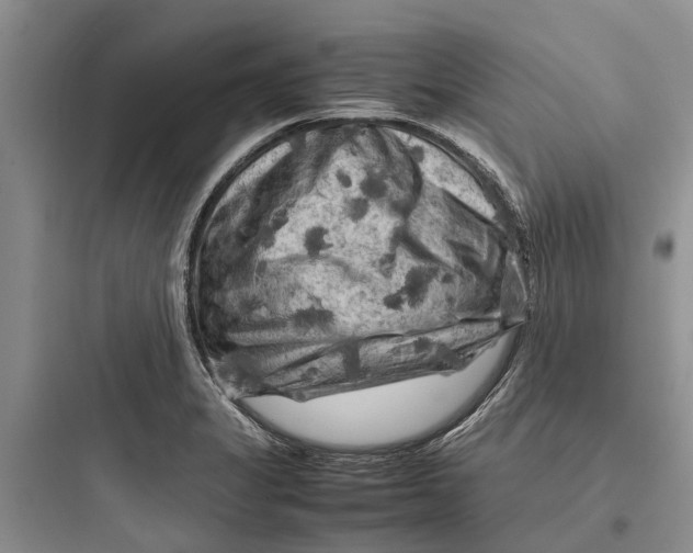 X0000097661325200803211910