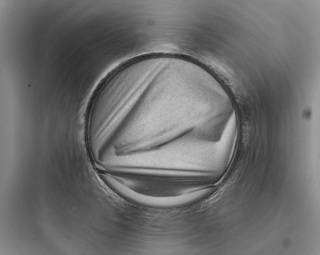 X0000097661326200803211910