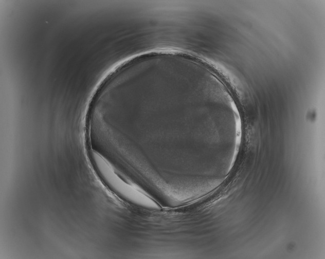 X0000097661327200803211910