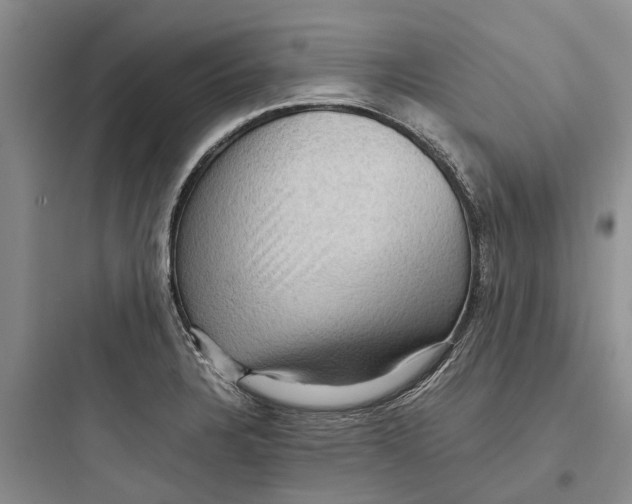 X0000097661328200803211910