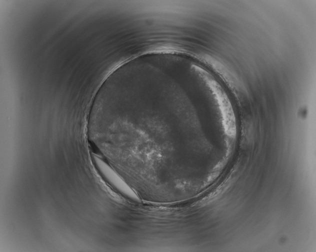 X0000097661329200803211910