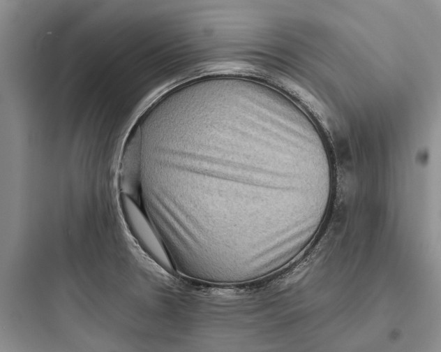 X0000097661330200803211910