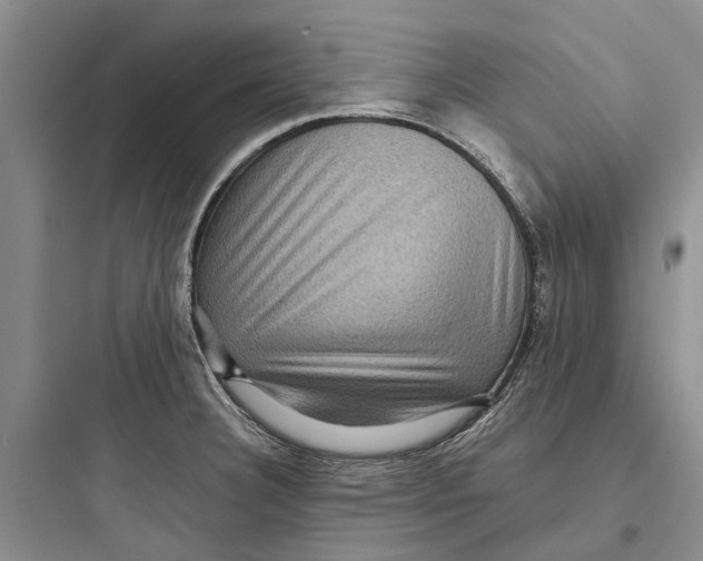 X0000097661332200803211910