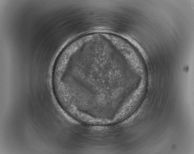 X0000097661333200803211910