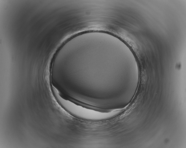 X0000097661334200803211910