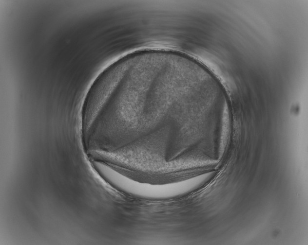 X0000097661335200803211910