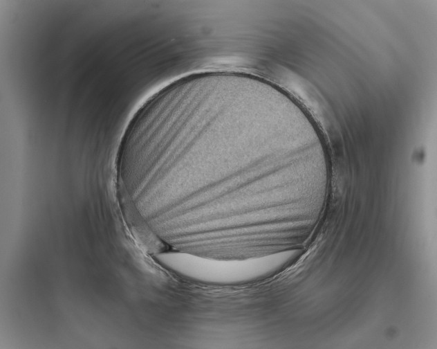 X0000097661336200803211910