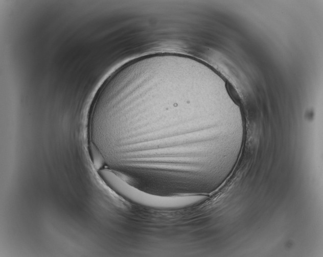 X0000097661339200803211911