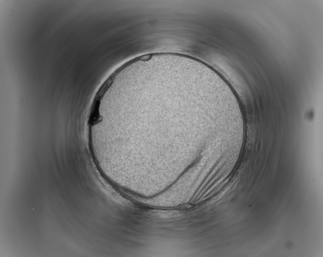 X0000097661340200803211911