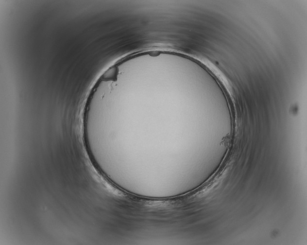 X0000097661341200803211911