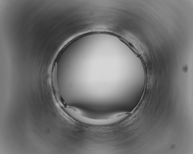 X0000097661342200803211911