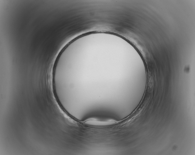 X0000097661343200803211911