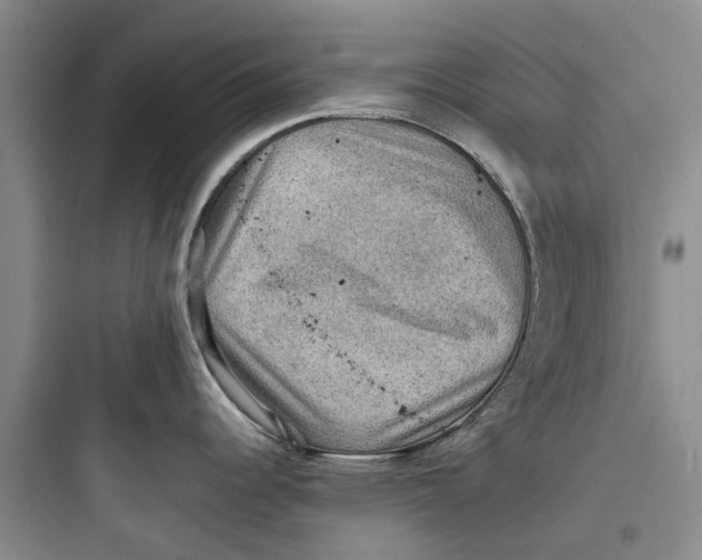 X0000097661344200803211911