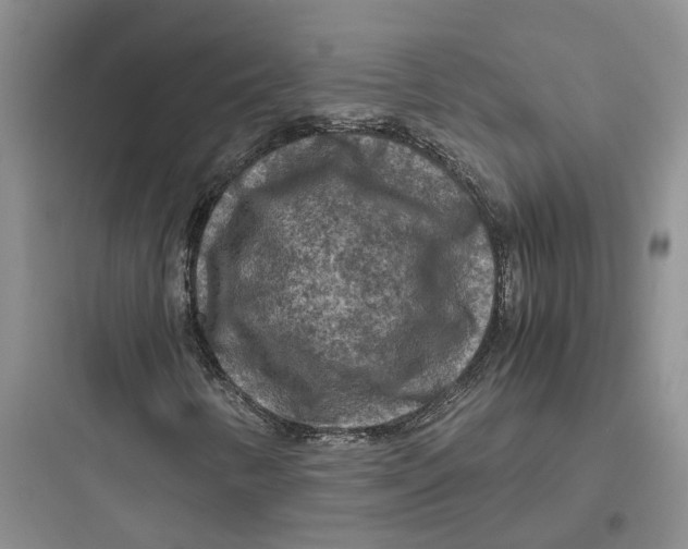X0000097661346200803211910