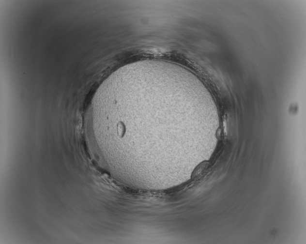 X0000097661347200803211910