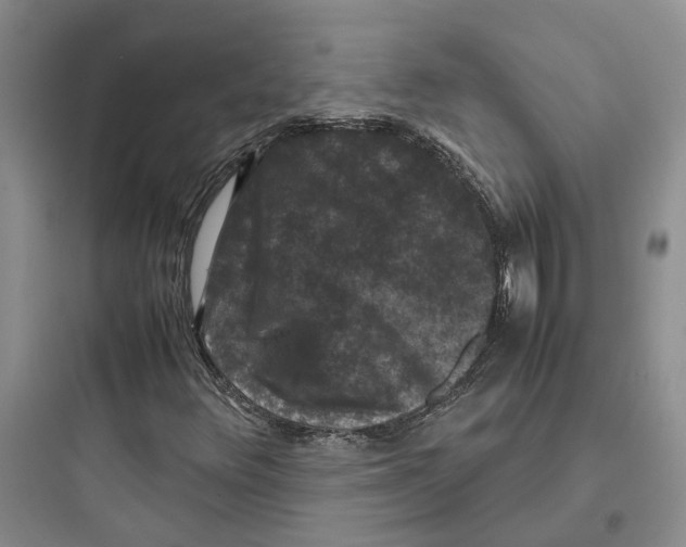 X0000097661348200803211910