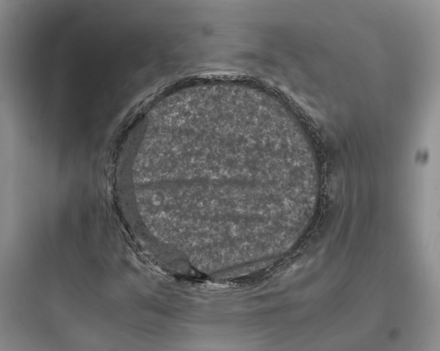 X0000097661351200803211910
