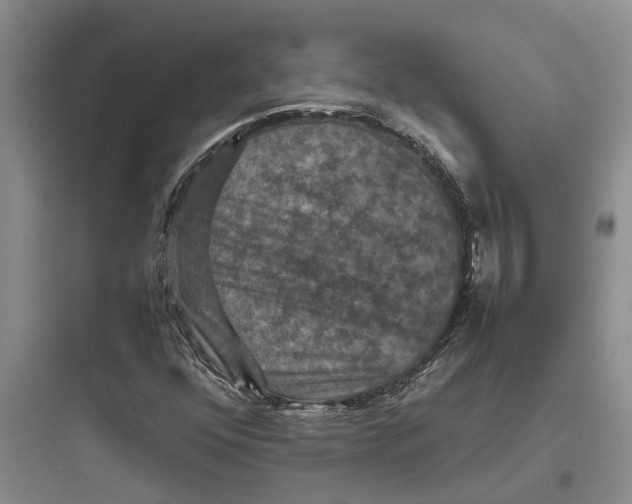 X0000097661352200803211910
