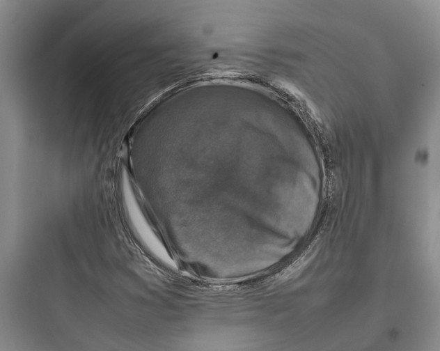 X0000097661353200803211910