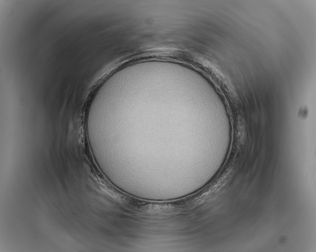 X0000097661354200803211910