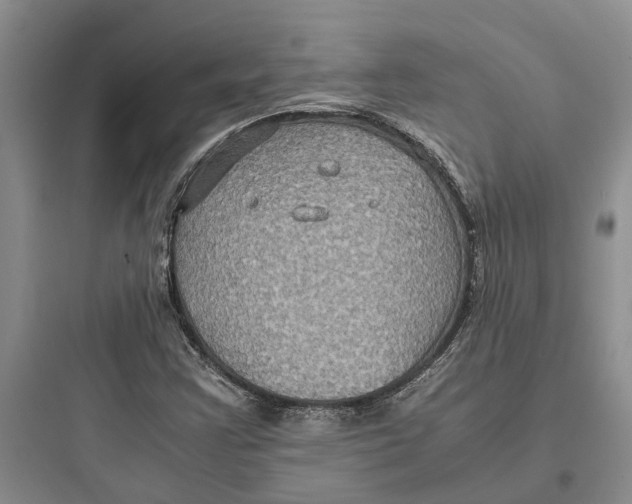 X0000097661355200803211910
