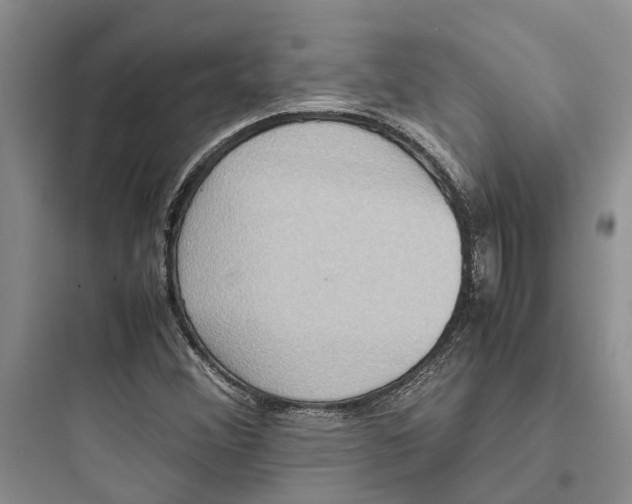 X0000097661356200803211910