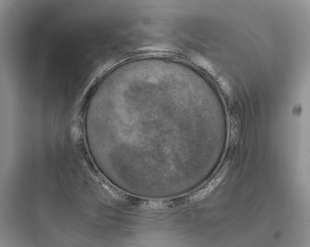 X0000097661357200803211910