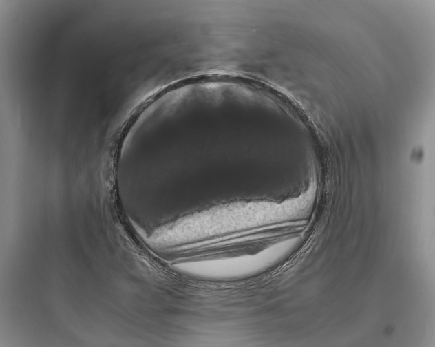 X0000097661359200803211910