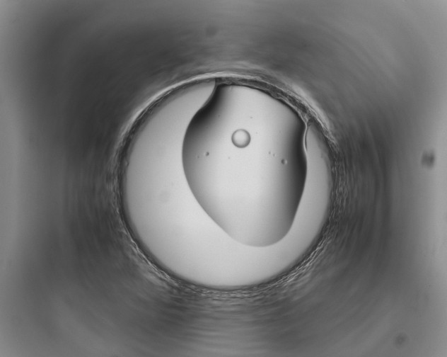 X0000097661360200803211910