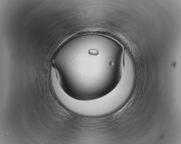 X0000097661361200803211910