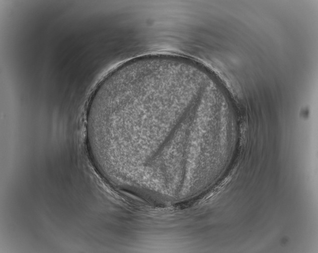 X0000097661363200803211910
