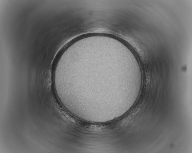 X0000097661364200803211910