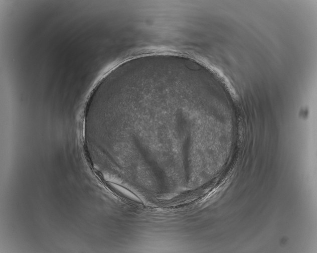 X0000097661365200803211910
