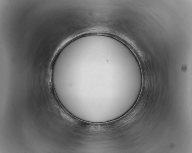 X0000097661366200803211910