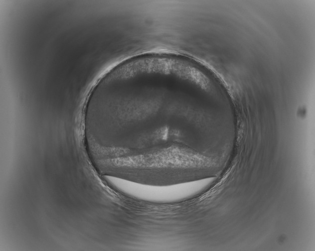 X0000097661367200803211910