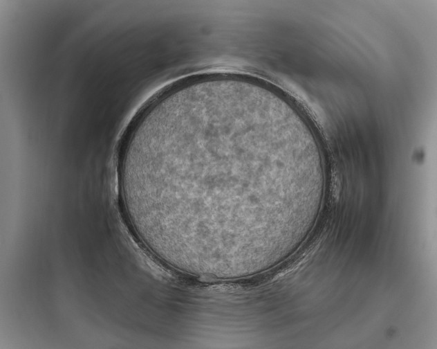 X0000097661368200803211910