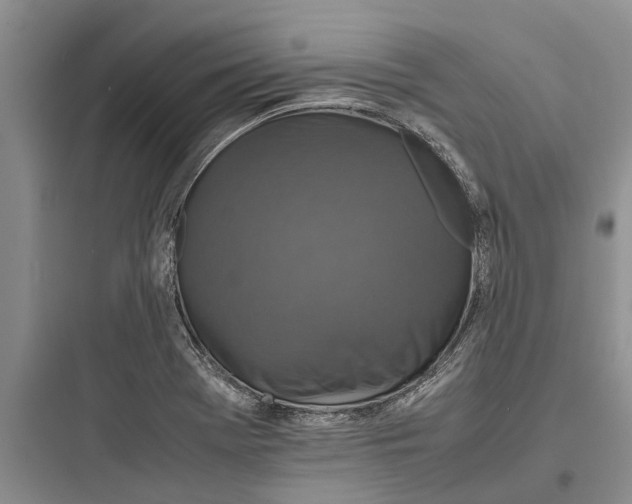 X0000097661369200803211910