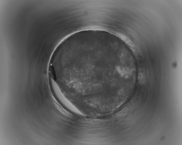 X0000097661372200803211910
