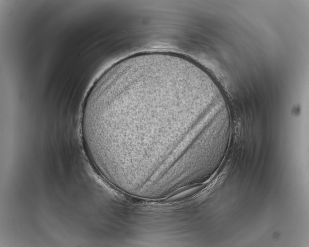 X0000097661374200803211910