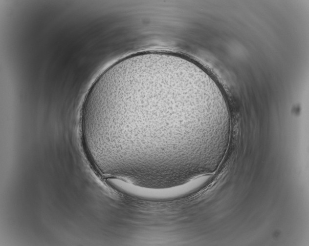 X0000097661375200803211910