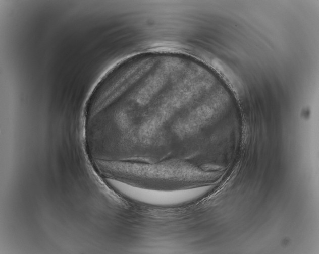X0000097661376200803211909